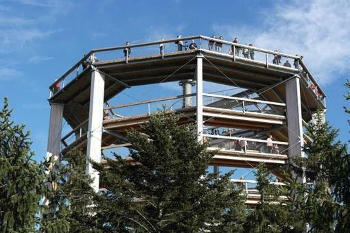 Violet Apartment Frymburk Zewnętrze zdjęcie
